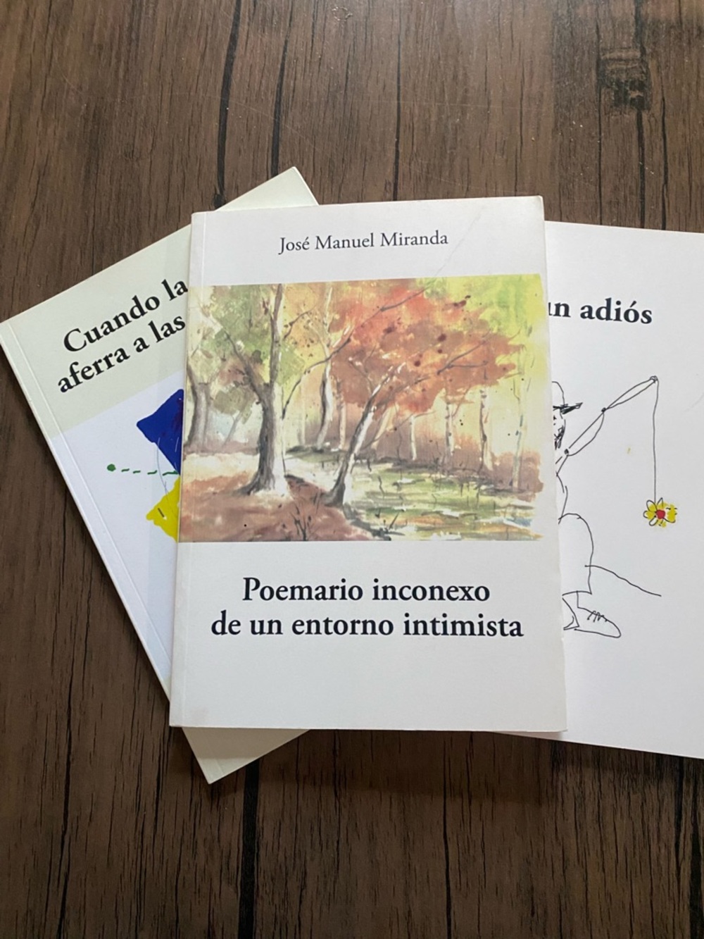 3 Poemario inconexo de un entorno intimista by José Manuel Miranda - White Cover